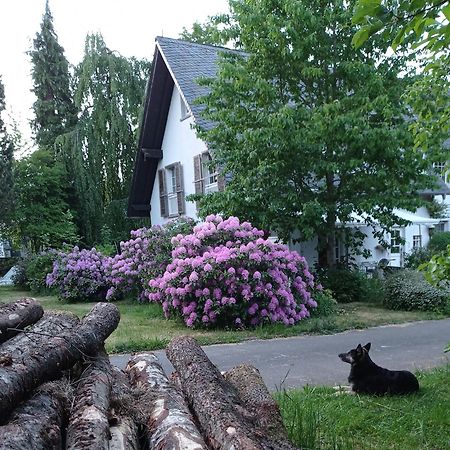 Apartmán Privatzimmer Im Landhaus Mit Grossem Garten Und Parkplatz Reckershausen Exteriér fotografie