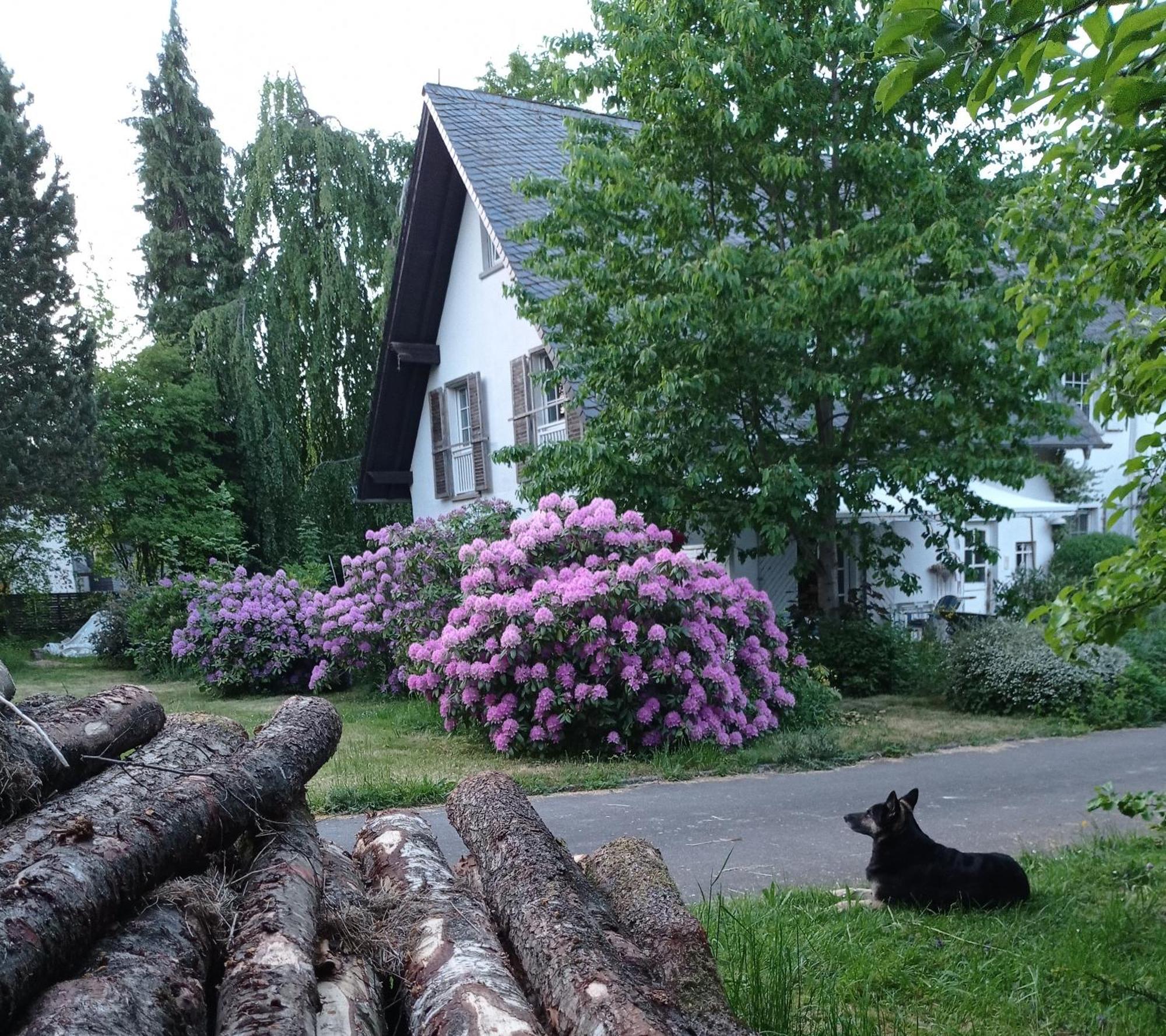 Apartmán Privatzimmer Im Landhaus Mit Grossem Garten Und Parkplatz Reckershausen Exteriér fotografie